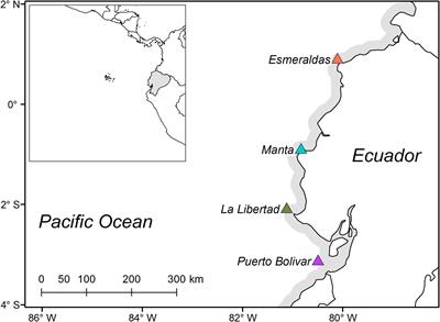 Spatio-Temporal Pattern of Dinoflagellates Along the Tropical Eastern Pacific Coast (Ecuador)